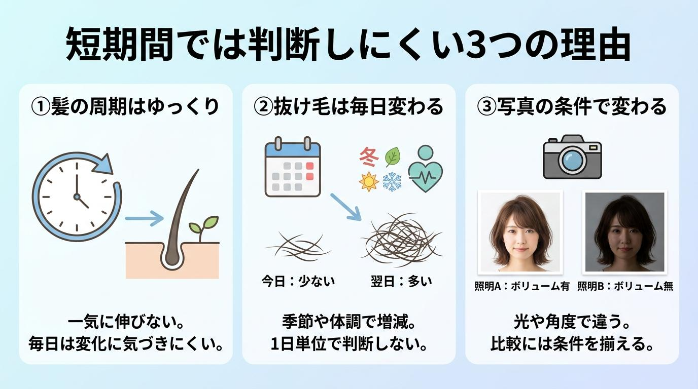 短期間では判断しにくい3つの理由(髪の周期・抜け毛の変動・写真の条件)