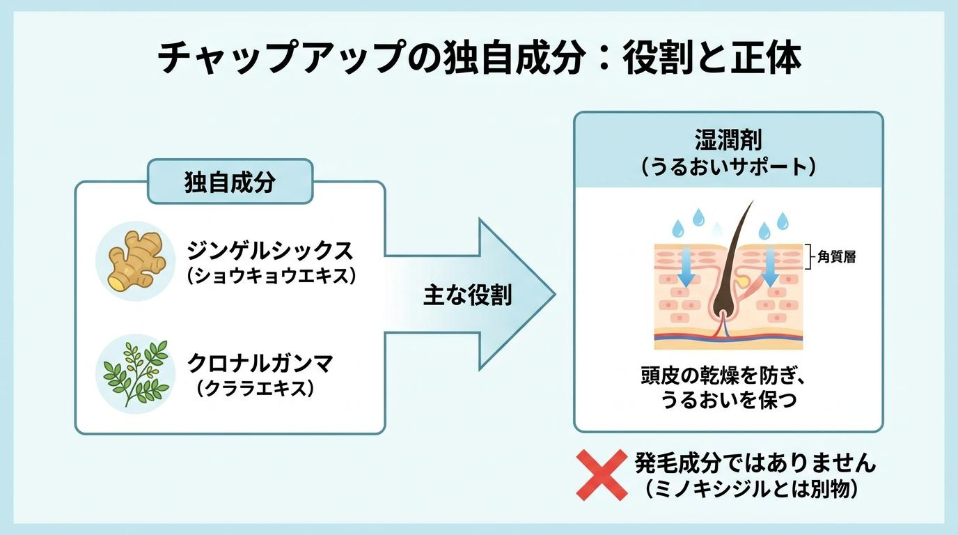 チャップアップの独自成分ジンゲルシックス・クロナルガンマの役割と正体の図解