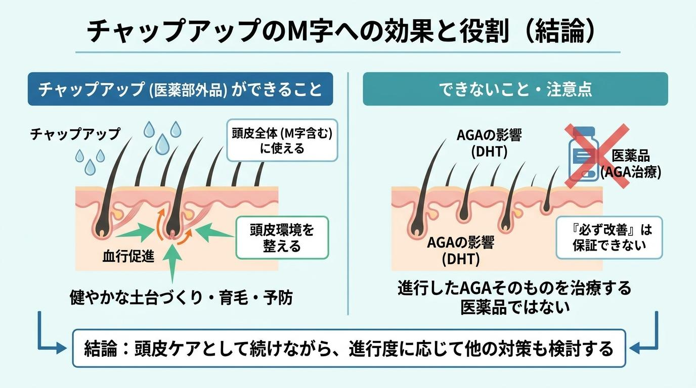 チャップアップのM字への効果と役割(結論)