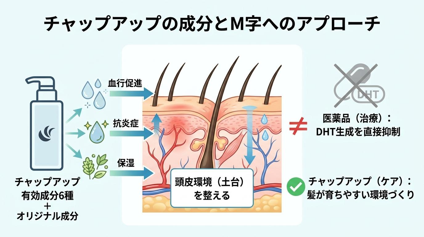 チャップアップの成分とM字へのアプローチ